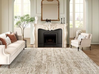New Area Rug 8x10, Large Soft Rugs for Living Room Vintage