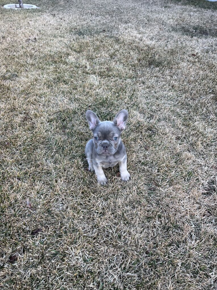 Looking for forever home