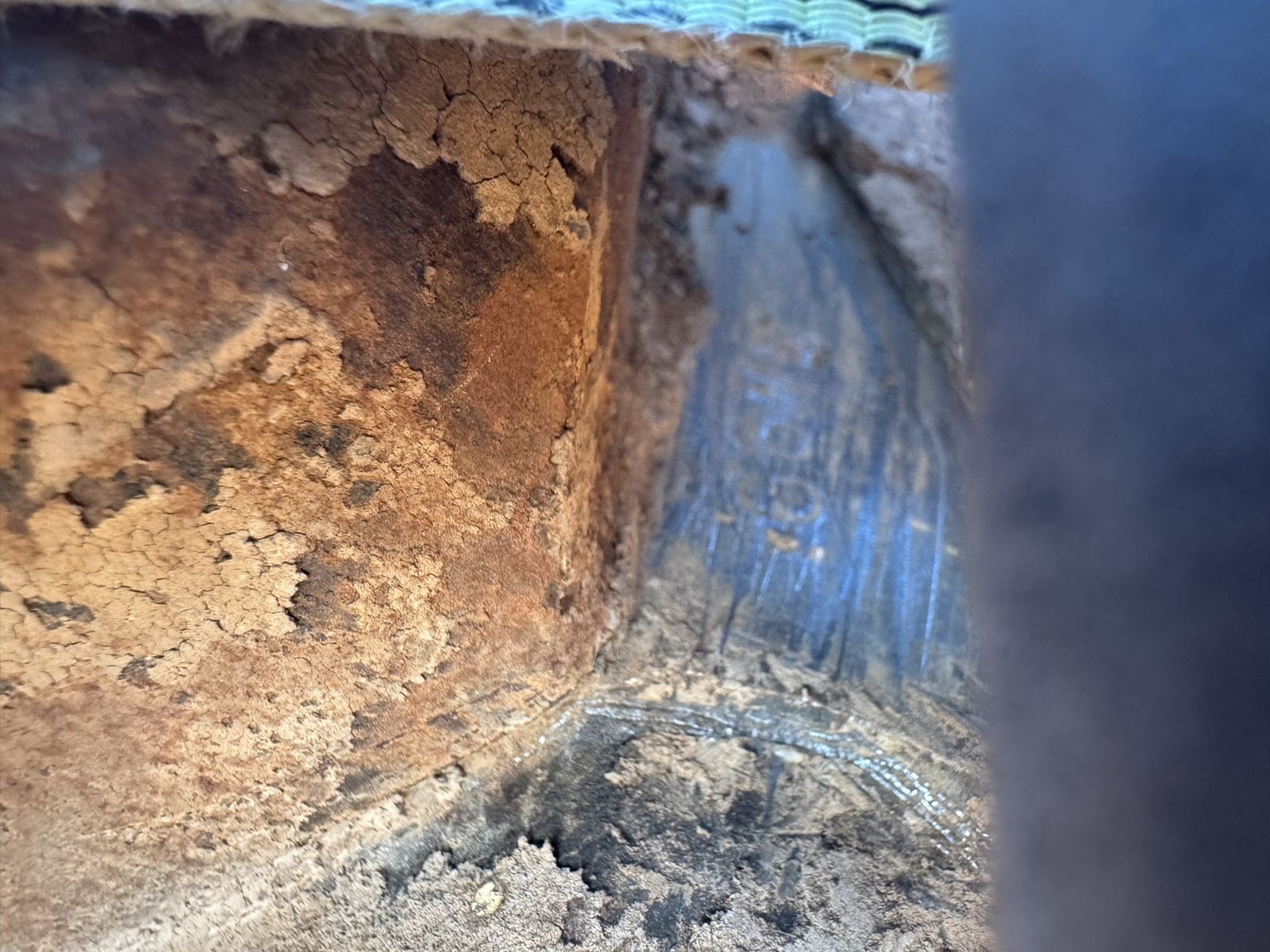 Main image 4