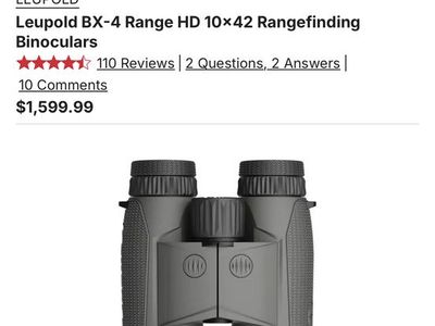 Leupold BX-4 Range HD 10x42
