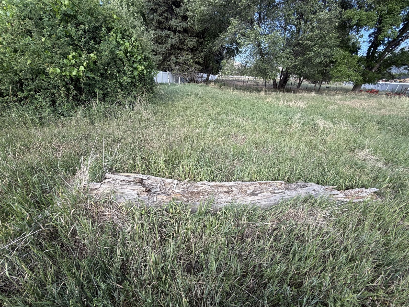 Main image 5
