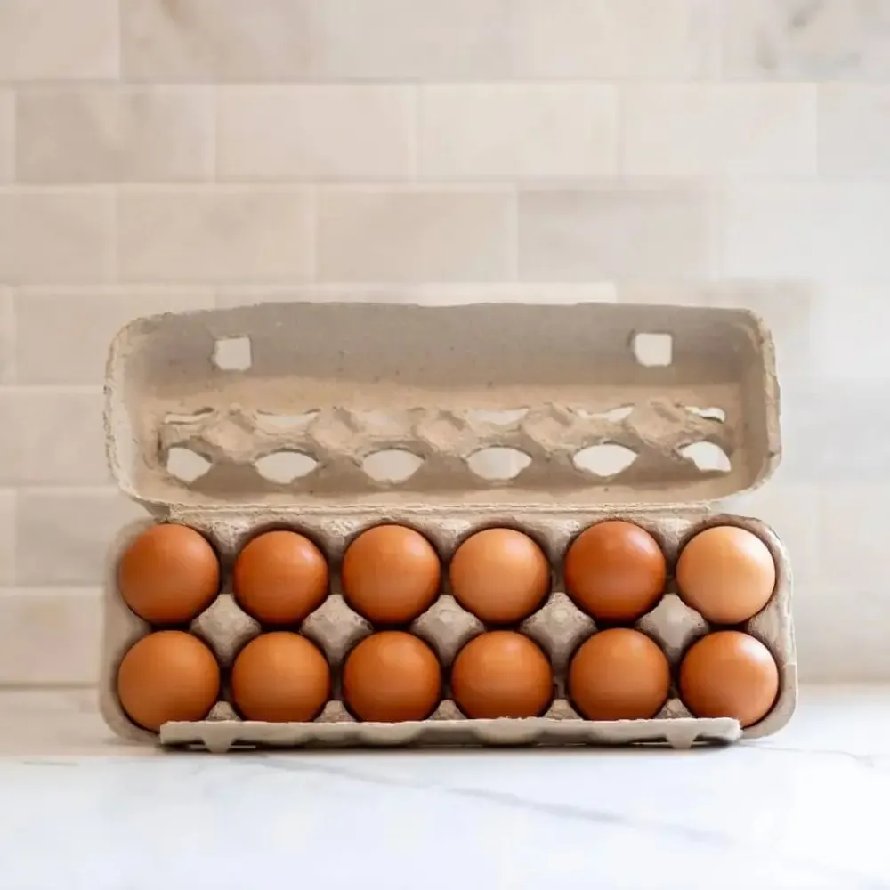 Fresh Eating Eggs From Backyard Flock