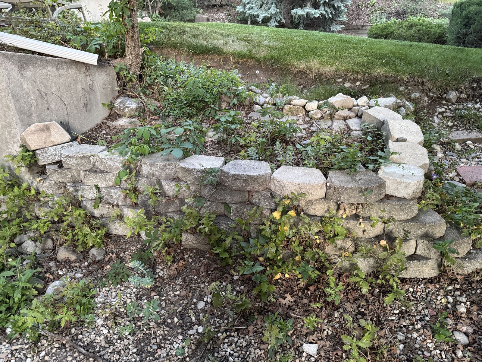 FREE: Provo - retaining blocks - approx 50-60 quantity