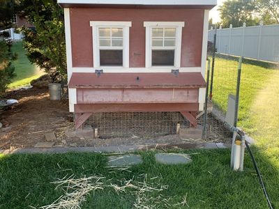 Amish built coop, 8 laying hens/ everything you need.