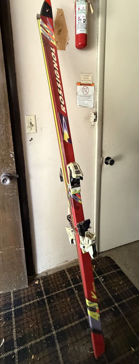 193 cm downhill skis