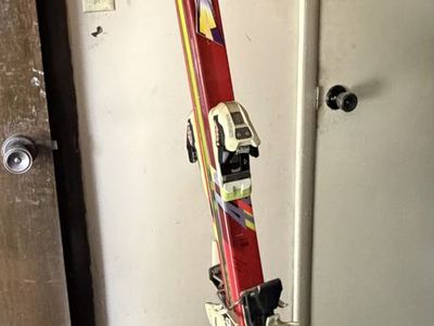 193 cm downhill skis