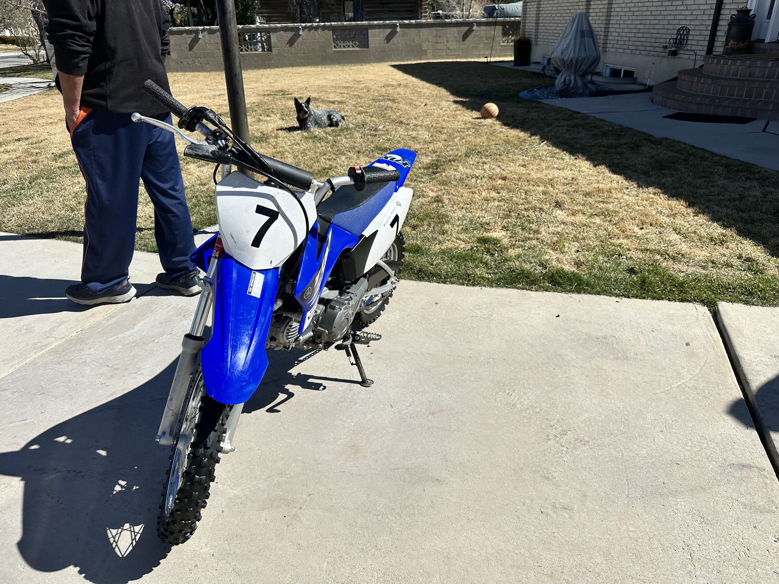 2015 Yamaha TTR 110