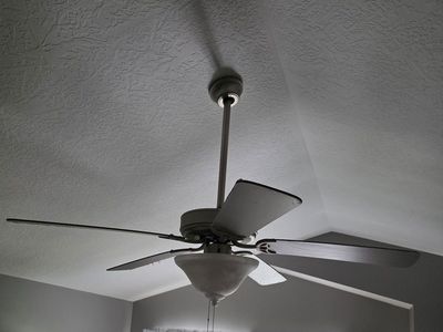 Ceiling fan with light