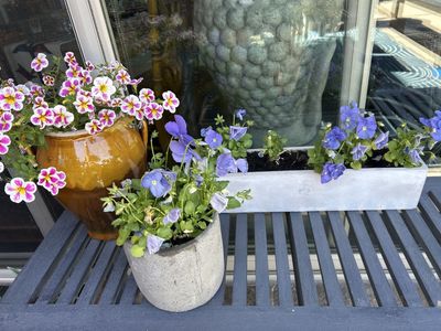 CONCRETE & URN PLANTER WITH PANSIES