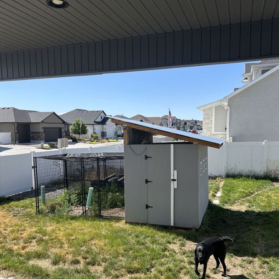 Chicken Coop