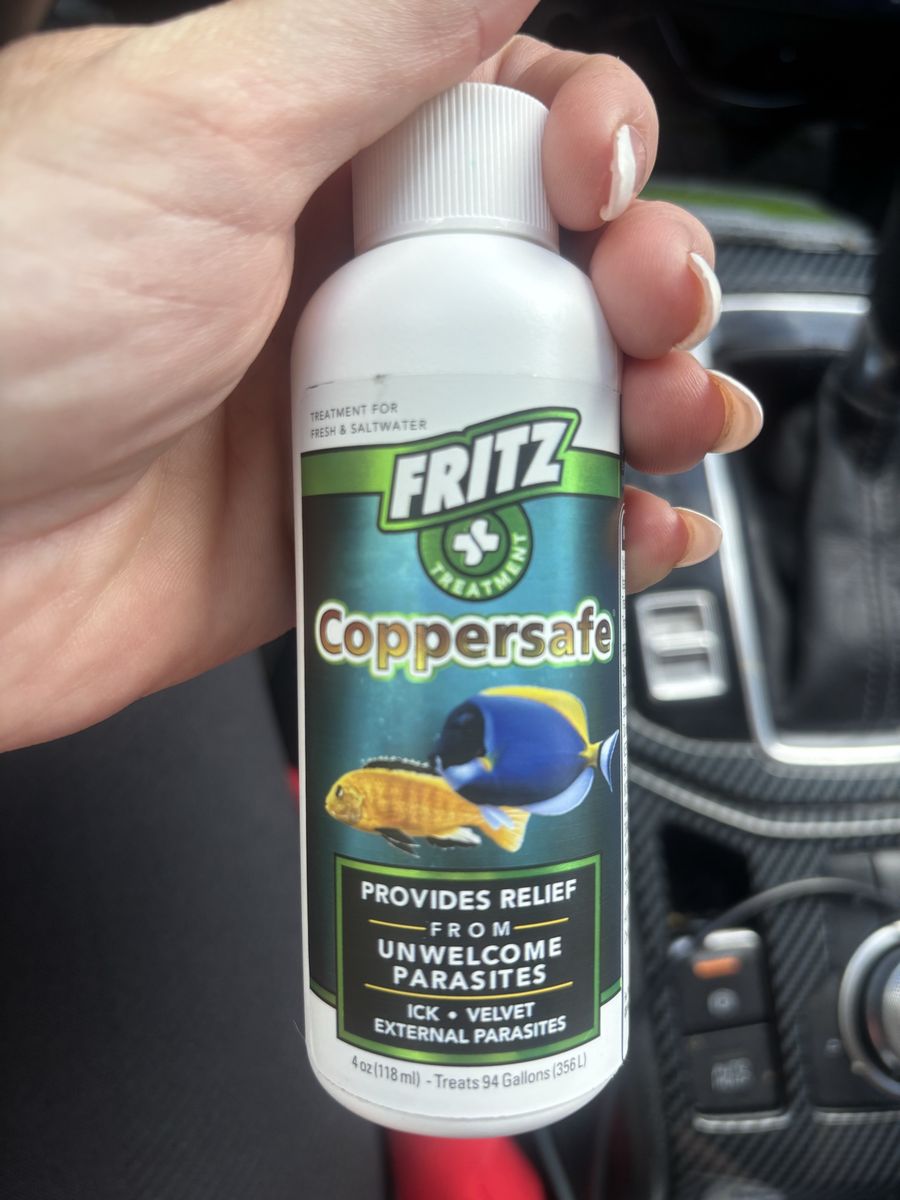 Brand NEW Fritz coppersafe