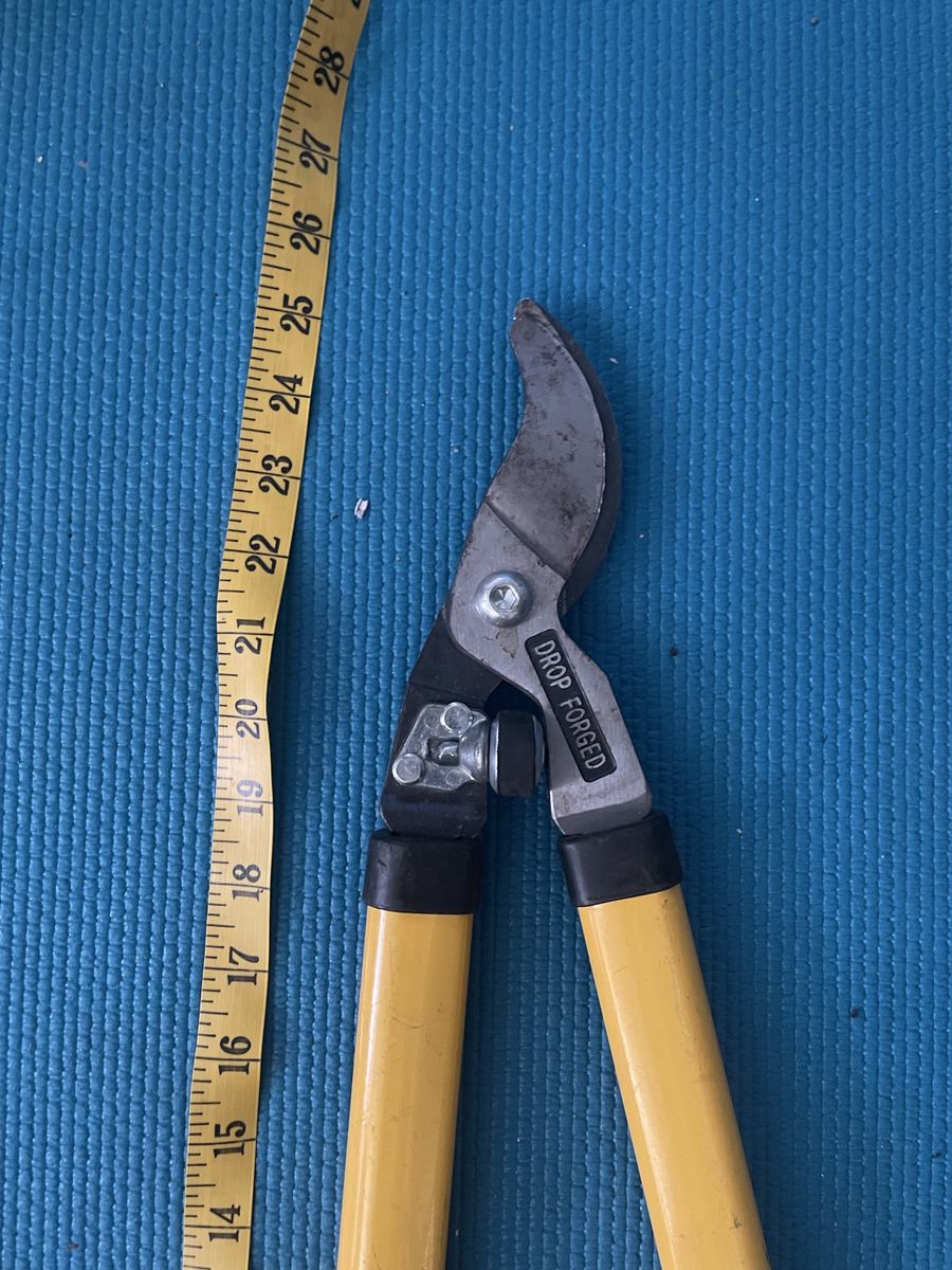 Main image 8