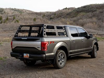 2015 FORD F150 Platinum