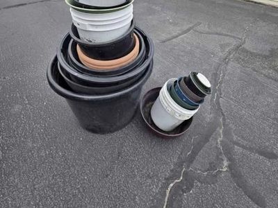 Plant holders