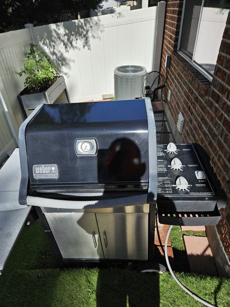 Weber Genesis silver