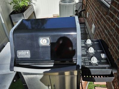 Weber Genesis silver