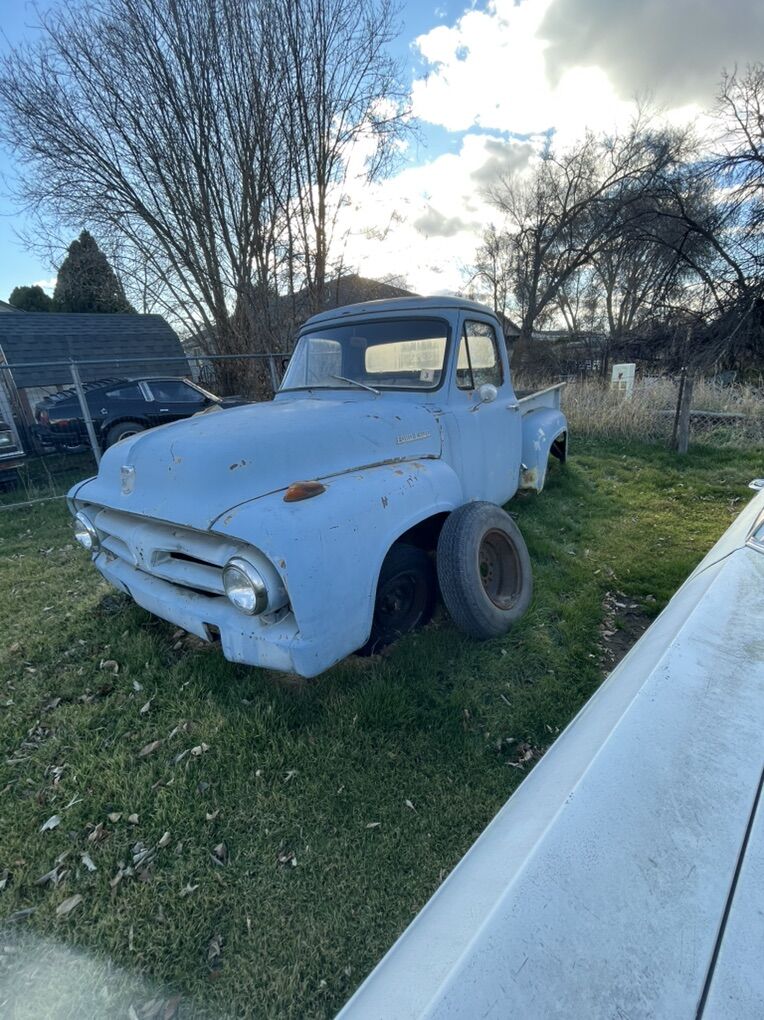 1955 Ford 100