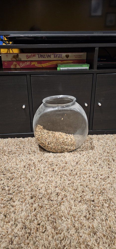goldfish bowl