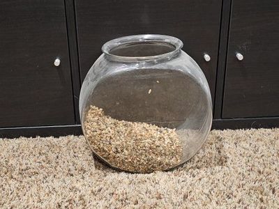 goldfish bowl