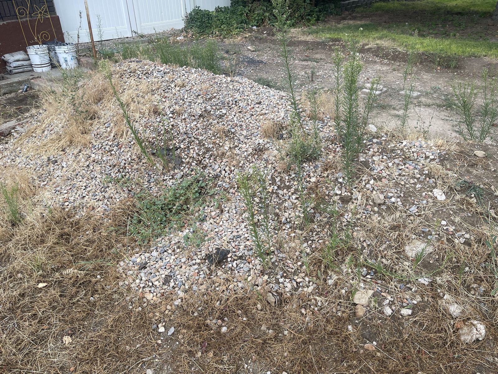 Main image 2
