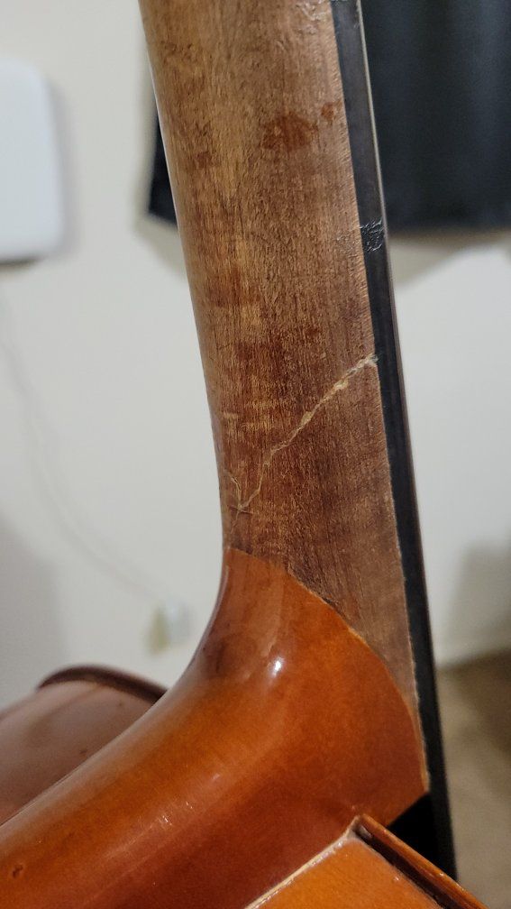 Main image 12
