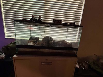 Reptile Habitats