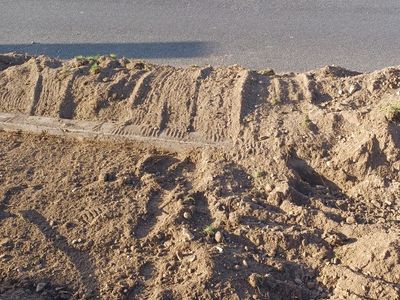 Free Fill Dirt. Self load.