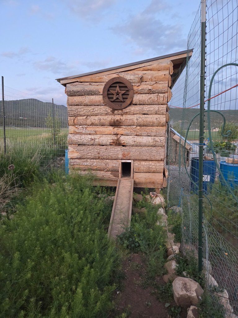 Custom  built chicken coop