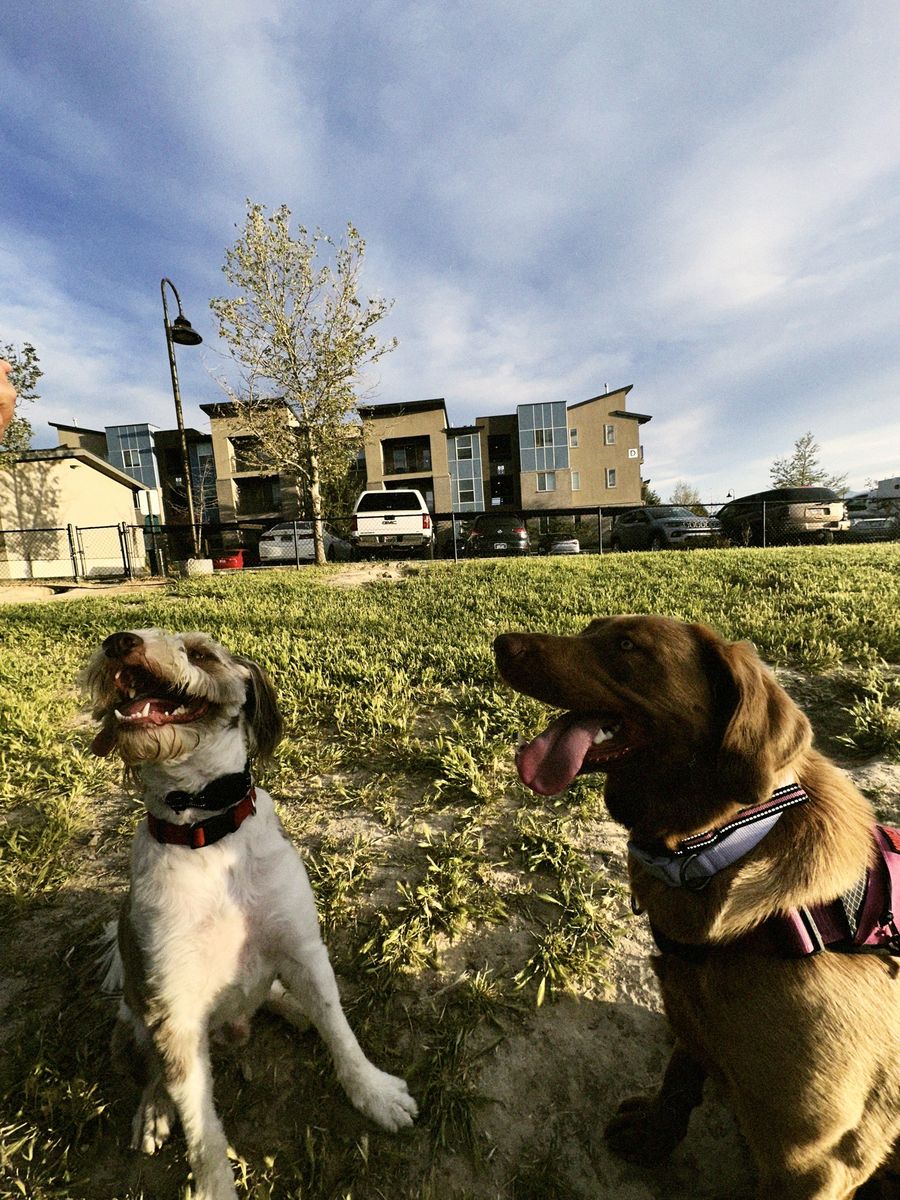 Main image 5