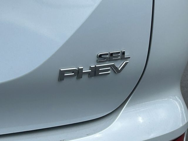 Main image 5