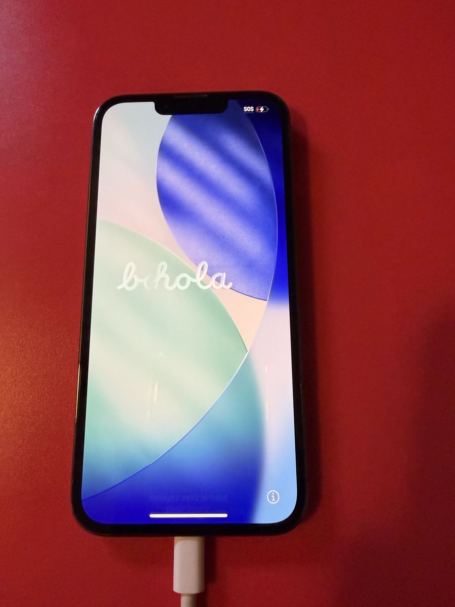 Apple iPhone 13 Pro 256GB Unlocked - Fully Functional
