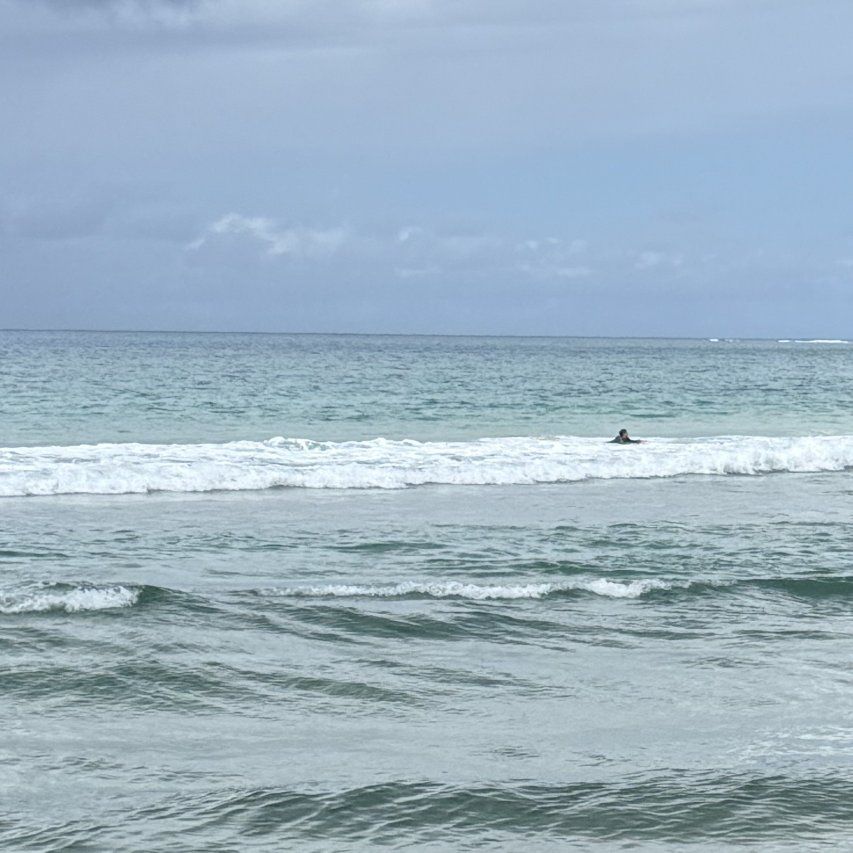 ISO water shares -davis & Weber, kays creek, holm