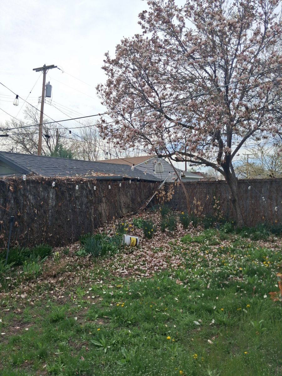 Main image 2