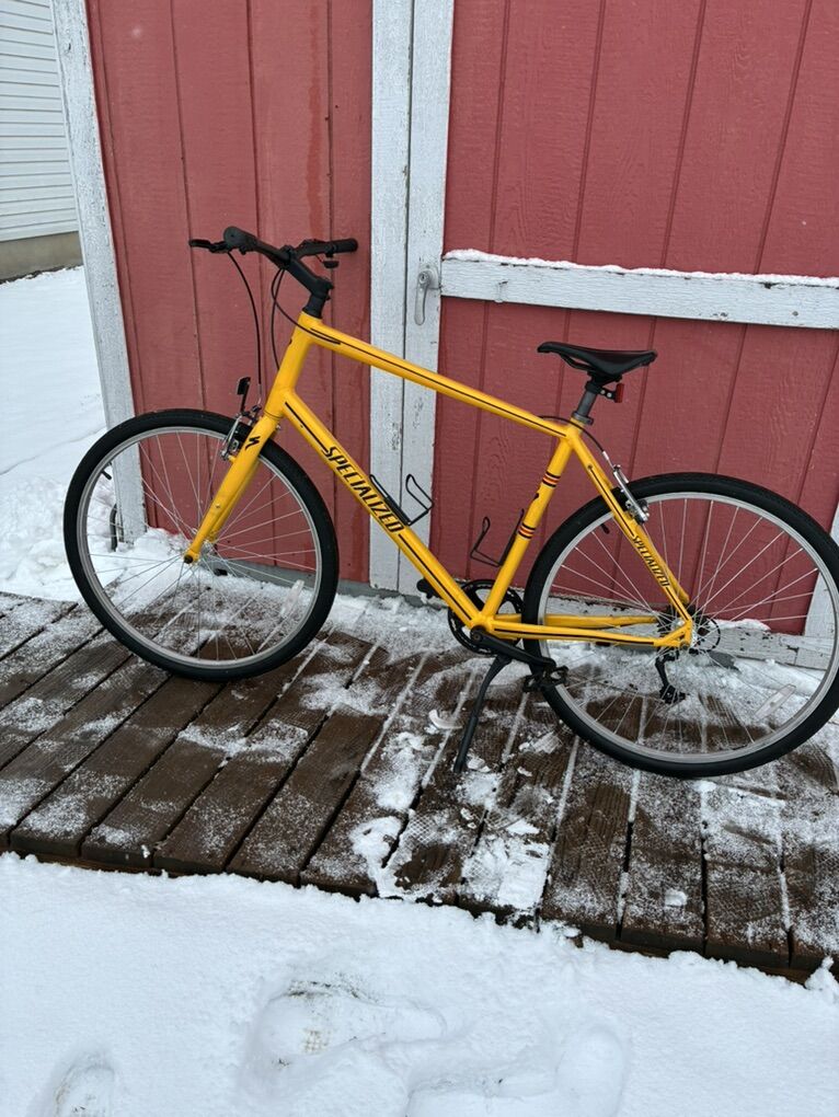 Specialized Road Bike