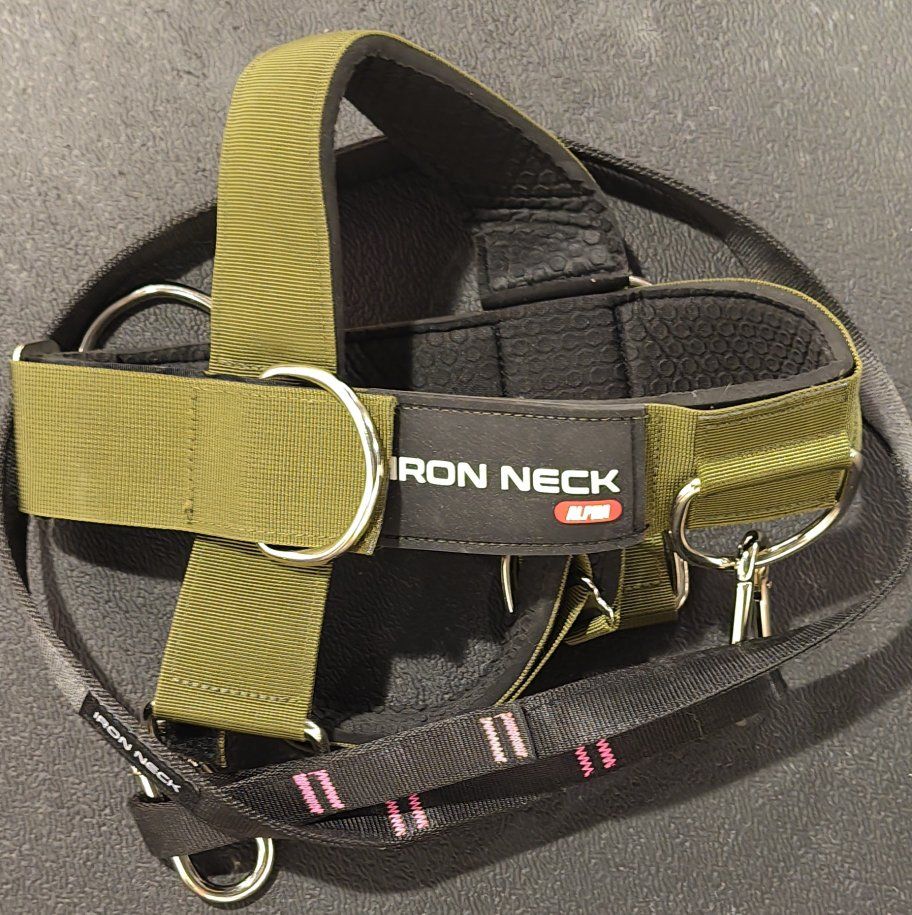 IRON NECK - Alpha Green with 6 D rings and harness