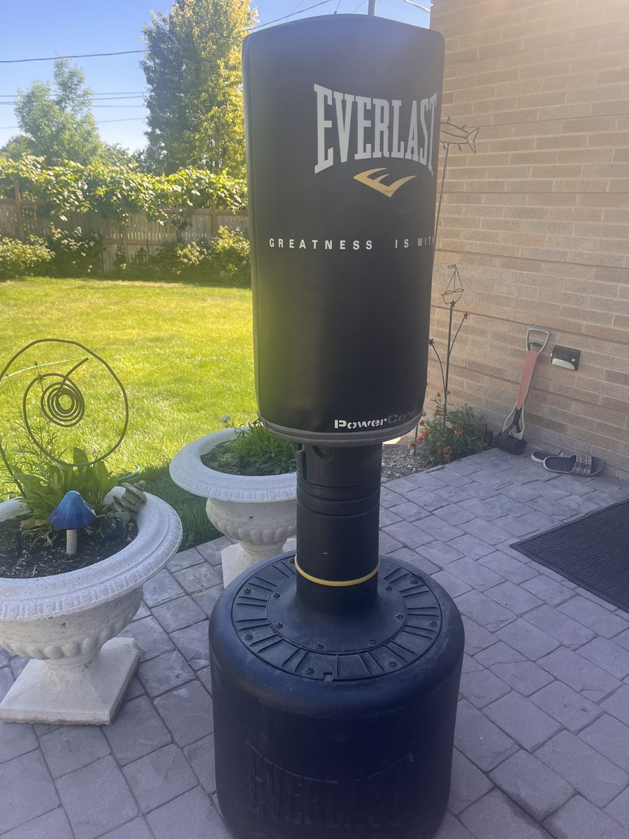 Everlast Free Standing Punchung Bag
