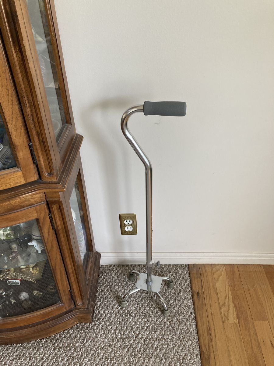 Adjustable cane