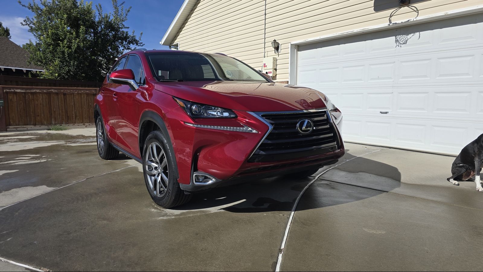 2015 Lexus NX