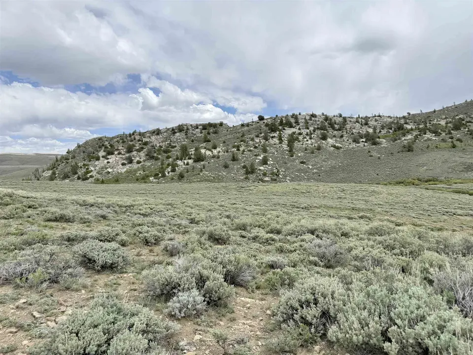 Main image 7