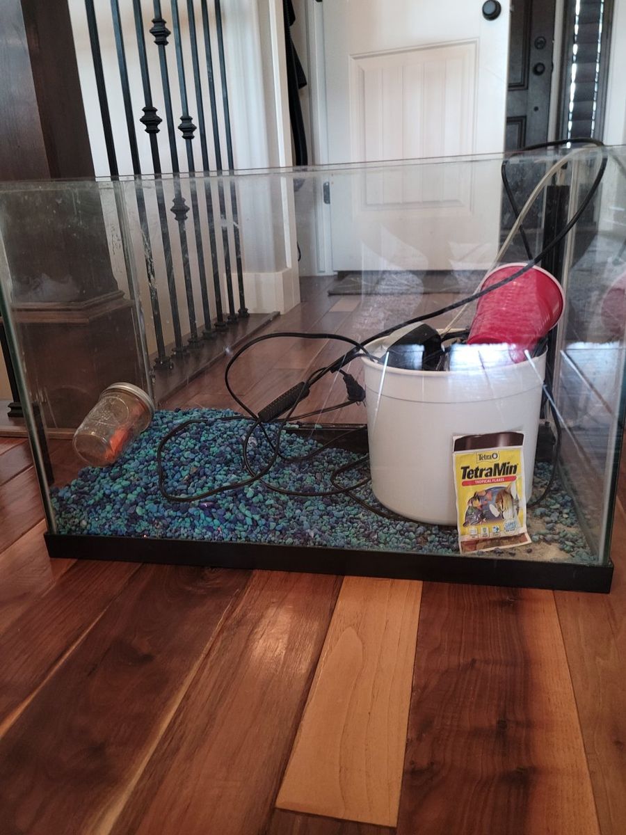 20 gallon Fish tank