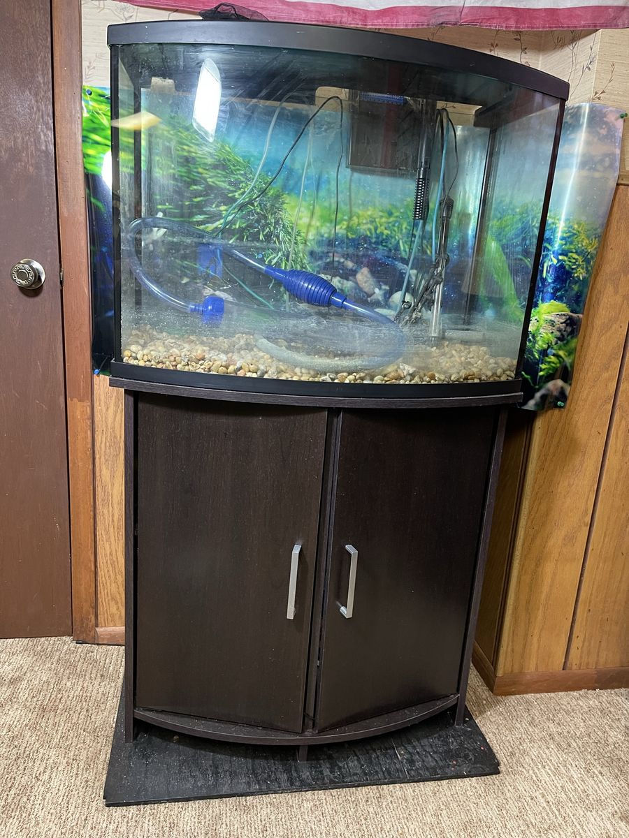 35 Gallon Curved Front Glass Aquarium with Dark Wood Cabinet/Stand