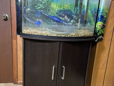 35 Gallon Curved Front Glass Aquarium with Dark Wood Cabinet/Stand