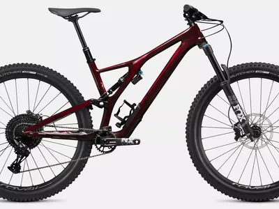 2020 Stumpjumper EVO Comp Carbon 29