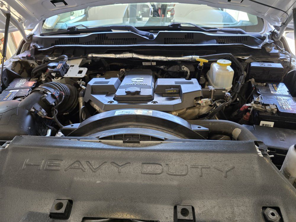Main image 7