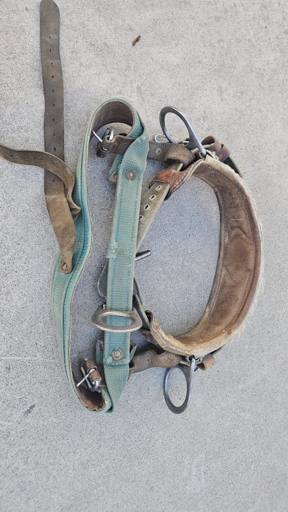 FREE - old school tree climbing harness