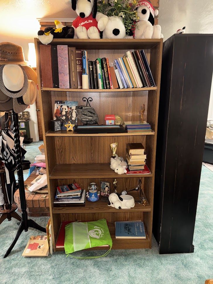 Wooden Bookshelf with Multiple Shelves