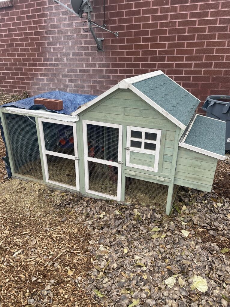 Chicken Coop