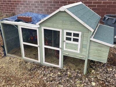 Chicken Coop