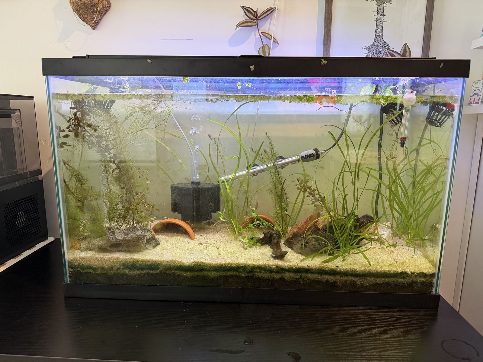 29 Gallon Glass Aquarium Fish Tank with Lid, Heater, Light, and Sponge Filter