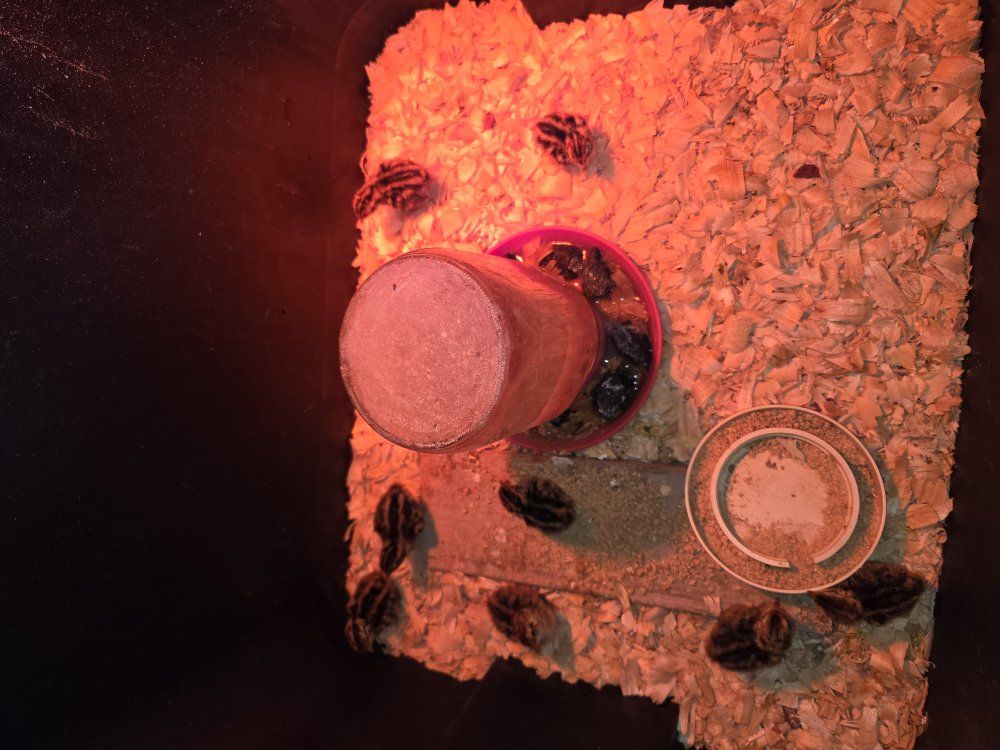Main image 3